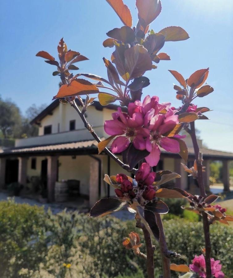 Bed and Breakfast Casale Terre Rosse Сатурния Экстерьер фото