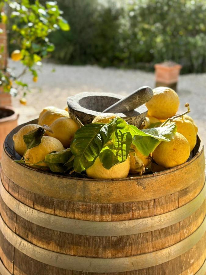Bed and Breakfast Casale Terre Rosse Сатурния Экстерьер фото