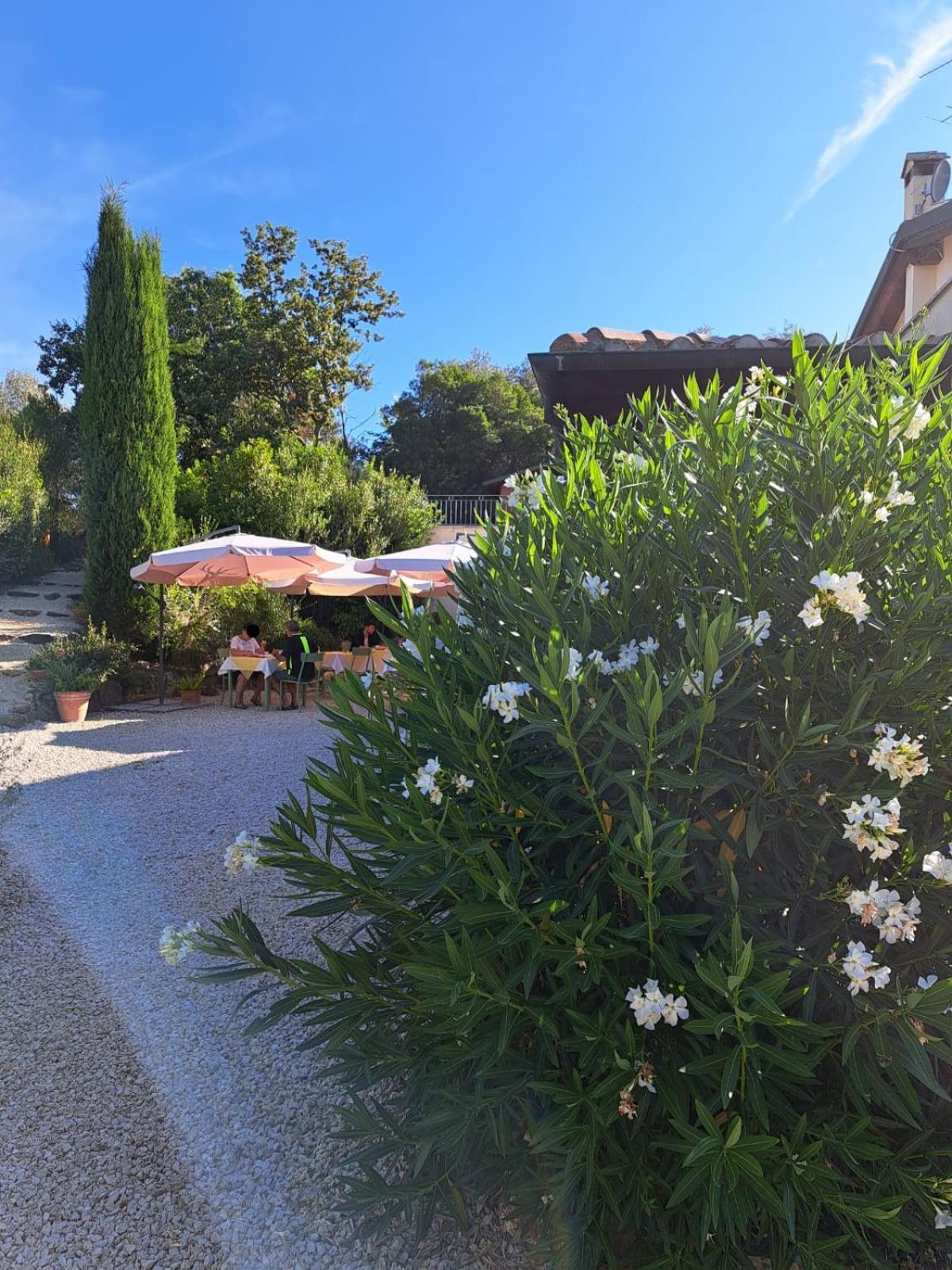 Bed and Breakfast Casale Terre Rosse Сатурния Экстерьер фото