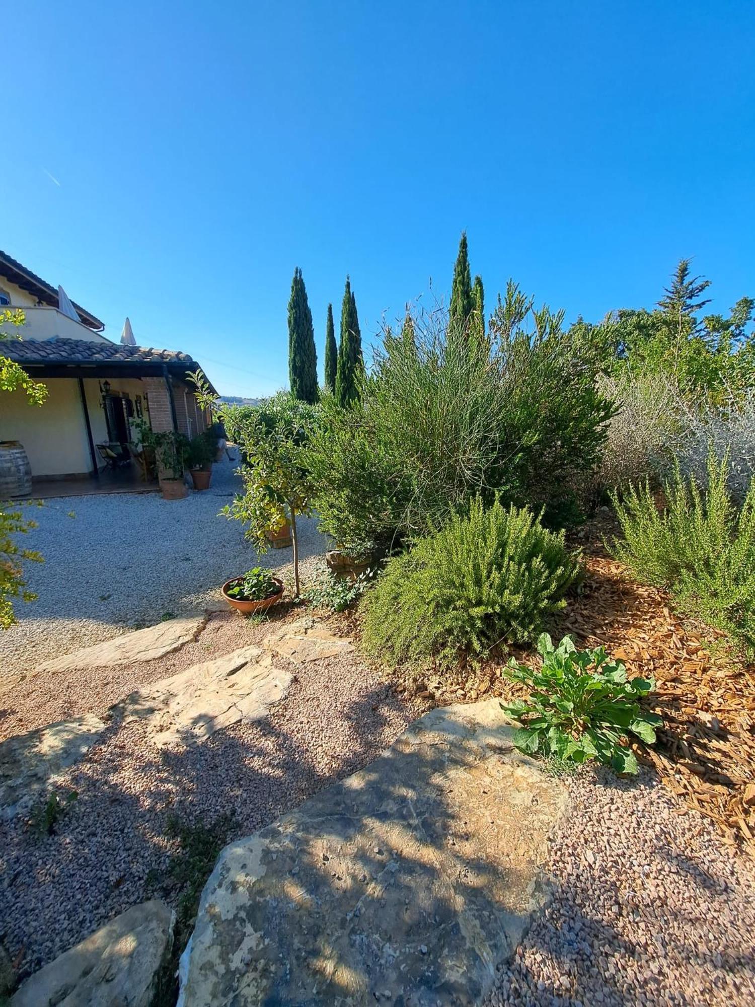 Bed and Breakfast Casale Terre Rosse Сатурния Экстерьер фото
