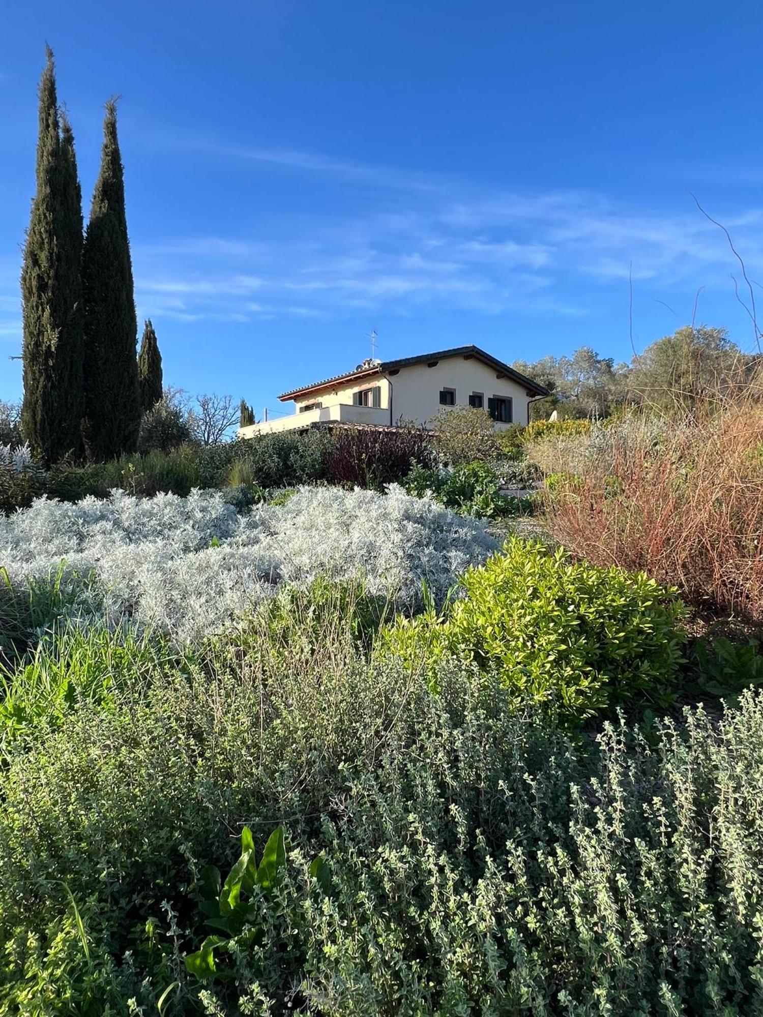 Bed and Breakfast Casale Terre Rosse Сатурния Экстерьер фото