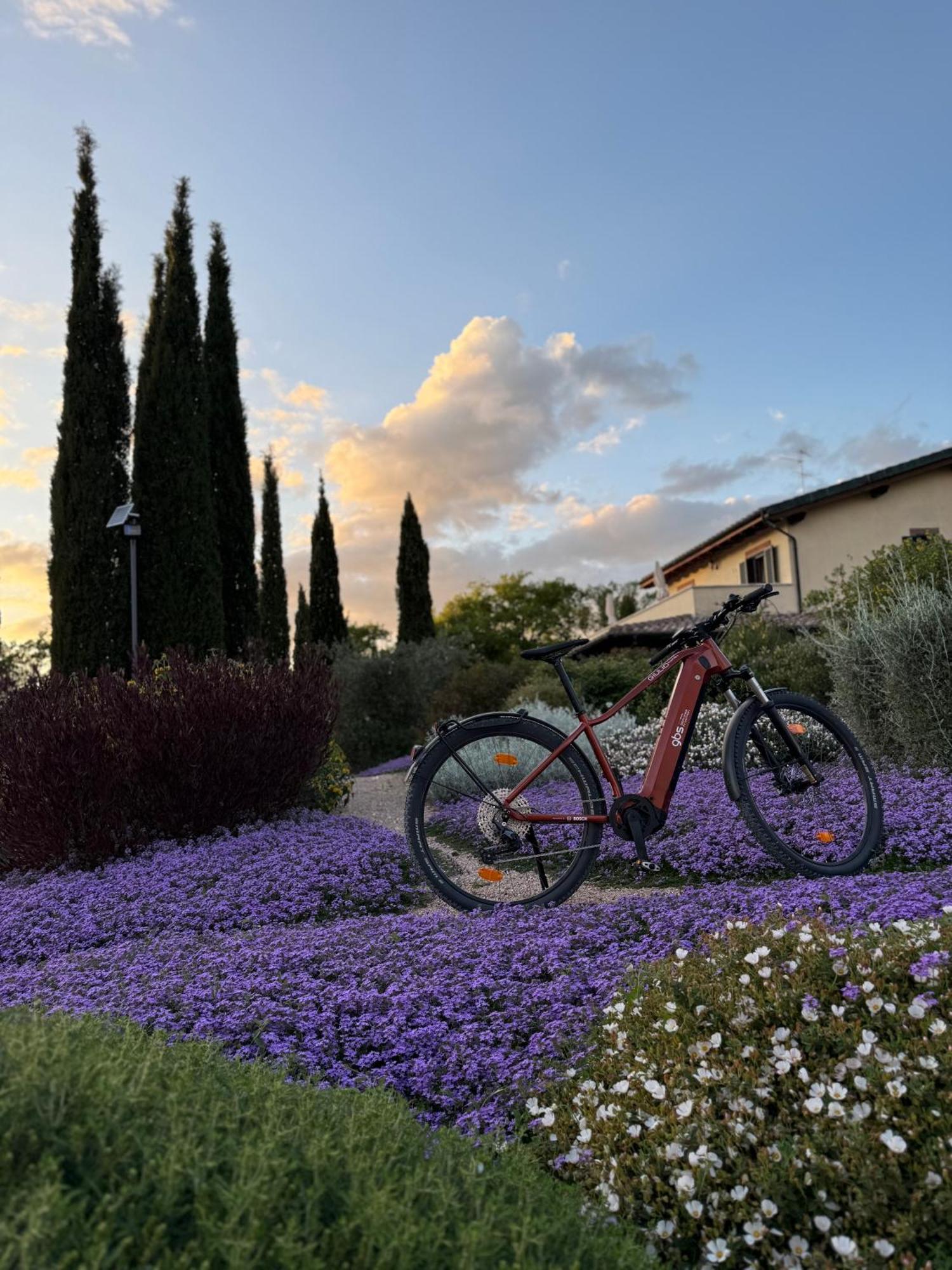 Bed and Breakfast Casale Terre Rosse Сатурния Экстерьер фото